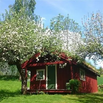 Varsetra Apartment